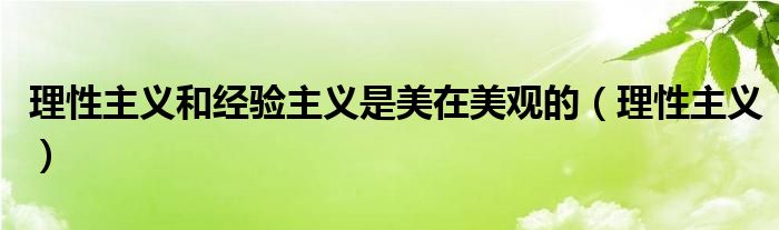 理性主义和经验主义是美在美观的（理性主义）