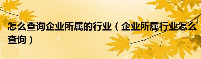 怎么查询企业所属的行业（企业所属行业怎么查询）