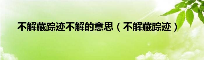 不解藏踪迹不解的意思（不解藏踪迹）