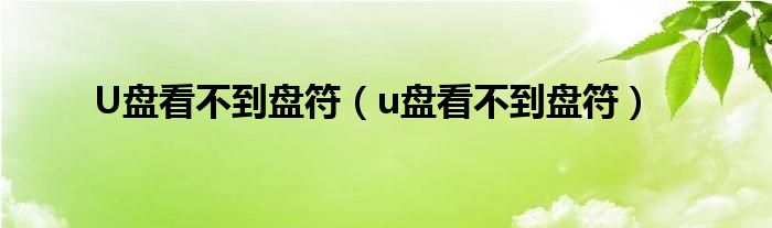 U盘看不到盘符（u盘看不到盘符）