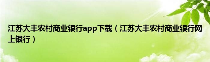 江苏大丰农村商业银行app下载（江苏大丰农村商业银行网上银行）