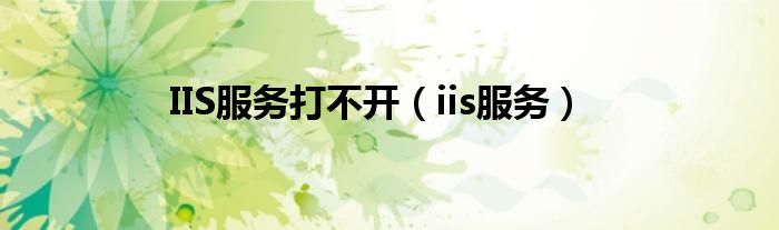 IIS服务打不开（iis服务）