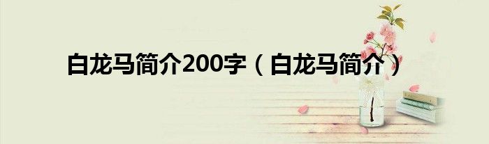 白龙马简介200字（白龙马简介）