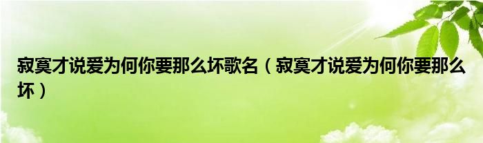 寂寞才说爱为何你要那么坏歌名（寂寞才说爱为何你要那么坏）