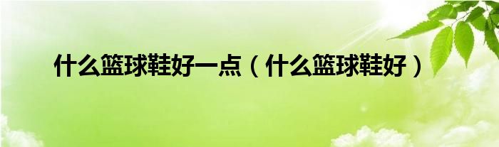 什么篮球鞋好一点（什么篮球鞋好）