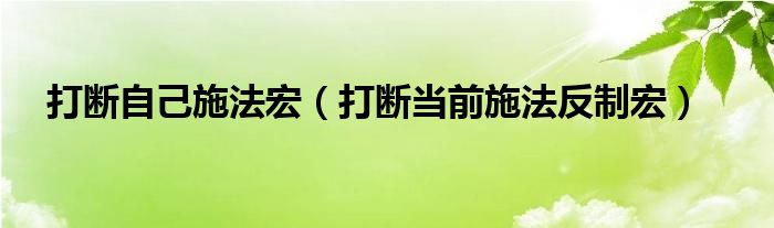 打断自己施法宏（打断当前施法反制宏）