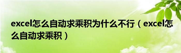 excel怎么自动求乘积为什么不行（excel怎么自动求乘积）