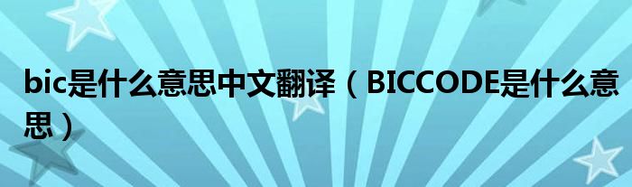 bic是什么意思中文翻译（BICCODE是什么意思）