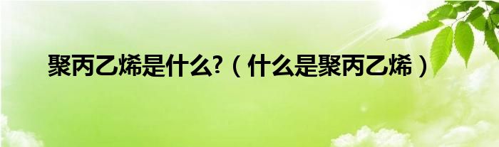 聚丙乙烯是什么?（什么是聚丙乙烯）