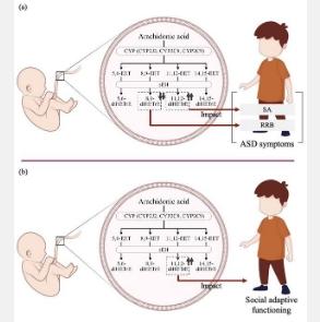 脐带血中的脂肪酸可能导致自闭症谱系障碍