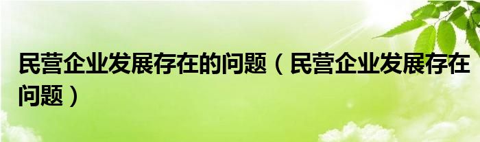 民营企业发展存在的问题（民营企业发展存在问题）