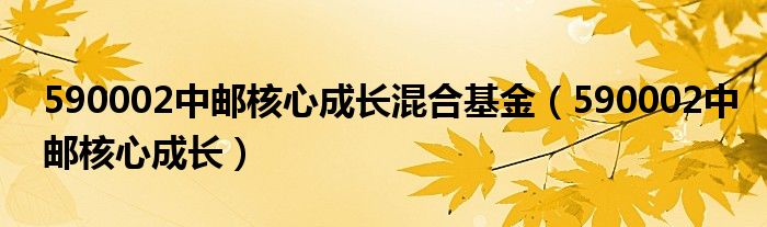 590002中邮核心成长混合基金（590002中邮核心成长）