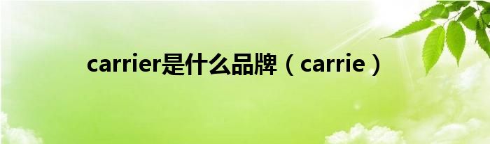 carrier是什么品牌（carrie）