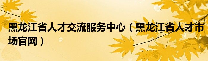 黑龙江省人才交流服务中心（黑龙江省人才市场官网）