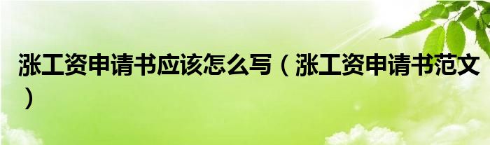 涨工资申请书应该怎么写（涨工资申请书范文）