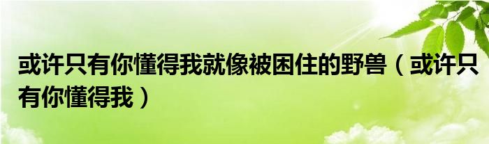 或许只有你懂得我就像被困住的野兽（或许只有你懂得我）