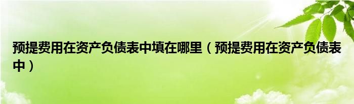 预提费用在资产负债表中填在哪里（预提费用在资产负债表中）