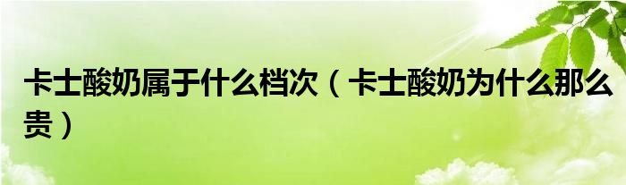 卡士酸奶属于什么档次（卡士酸奶为什么那么贵）