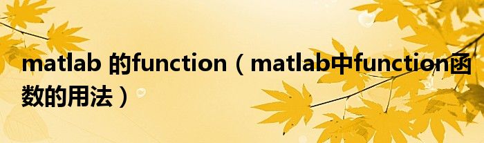 matlab 的function（matlab中function函数的用法）