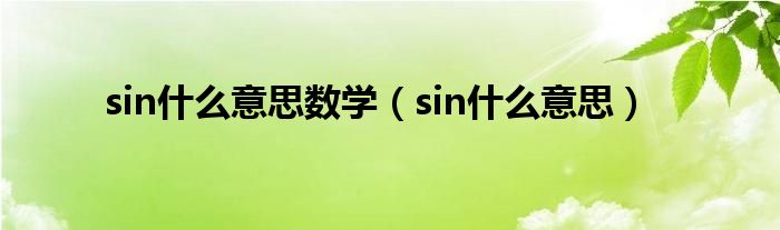 sin什么意思数学（sin什么意思）