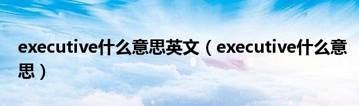 executive什么意思英文（executive什么意思）