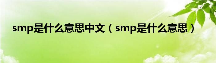 smp是什么意思中文（smp是什么意思）