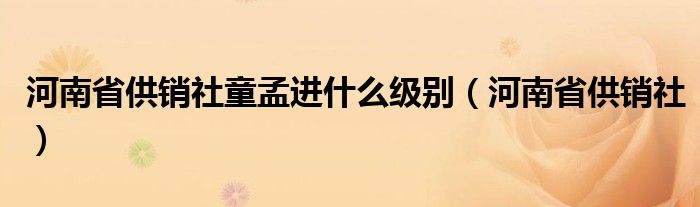 河南省供销社童孟进什么级别（河南省供销社）