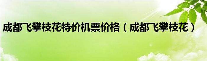 成都飞攀枝花特价机票价格（成都飞攀枝花）