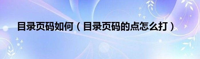 目录页码如何（目录页码的点怎么打）