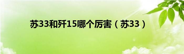 苏33和歼15哪个厉害（苏33）