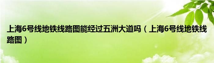 上海6号线地铁线路图能经过五洲大道吗（上海6号线地铁线路图）