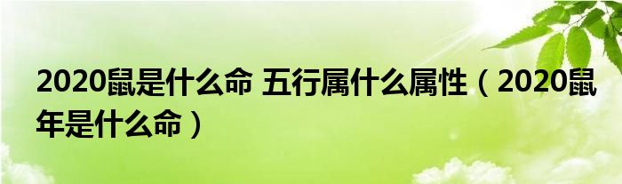 2020鼠是什么命 五行属什么属性（2020鼠年是什么命）