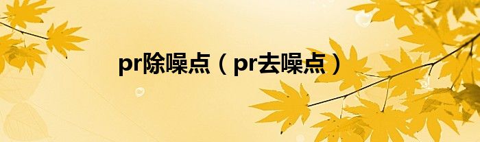 pr除噪点（pr去噪点）