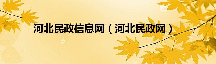 河北民政信息网（河北民政网）