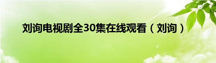 刘询电视剧全30集在线观看（刘询）