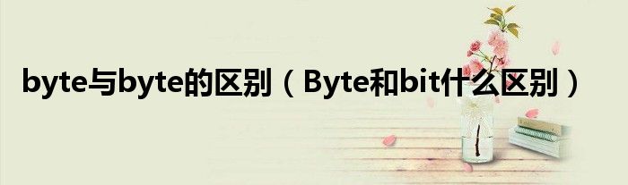 byte与byte的区别（Byte和bit什么区别）