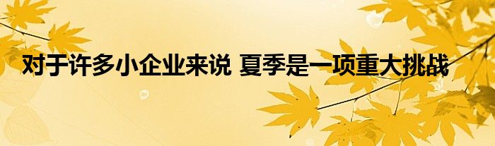 对于许多小企业来说 夏季是一项重大挑战