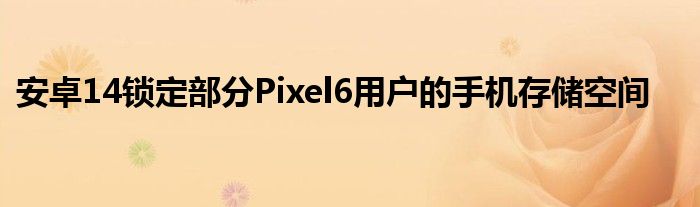 安卓14锁定部分Pixel6用户的手机存储空间