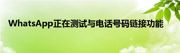 WhatsApp正在测试与电话号码链接功能