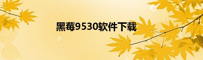 黑莓9530软件下载