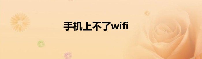 手机上不了wifi