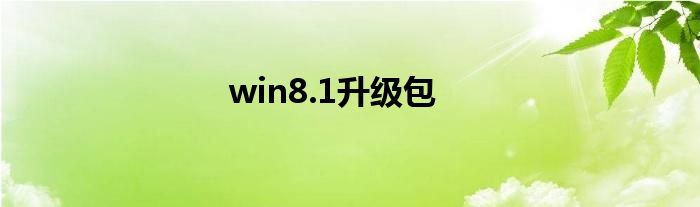 win8.1升级包